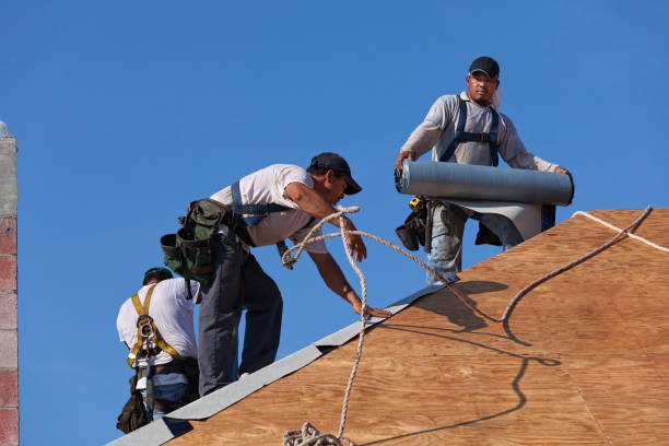 Best Metal Roofing Contractor  in Battle Ground, WA