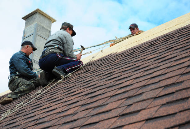 Best Roof Maintenance Services  in Battle Ground, WA